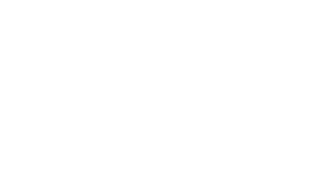 The Sleepy Owl