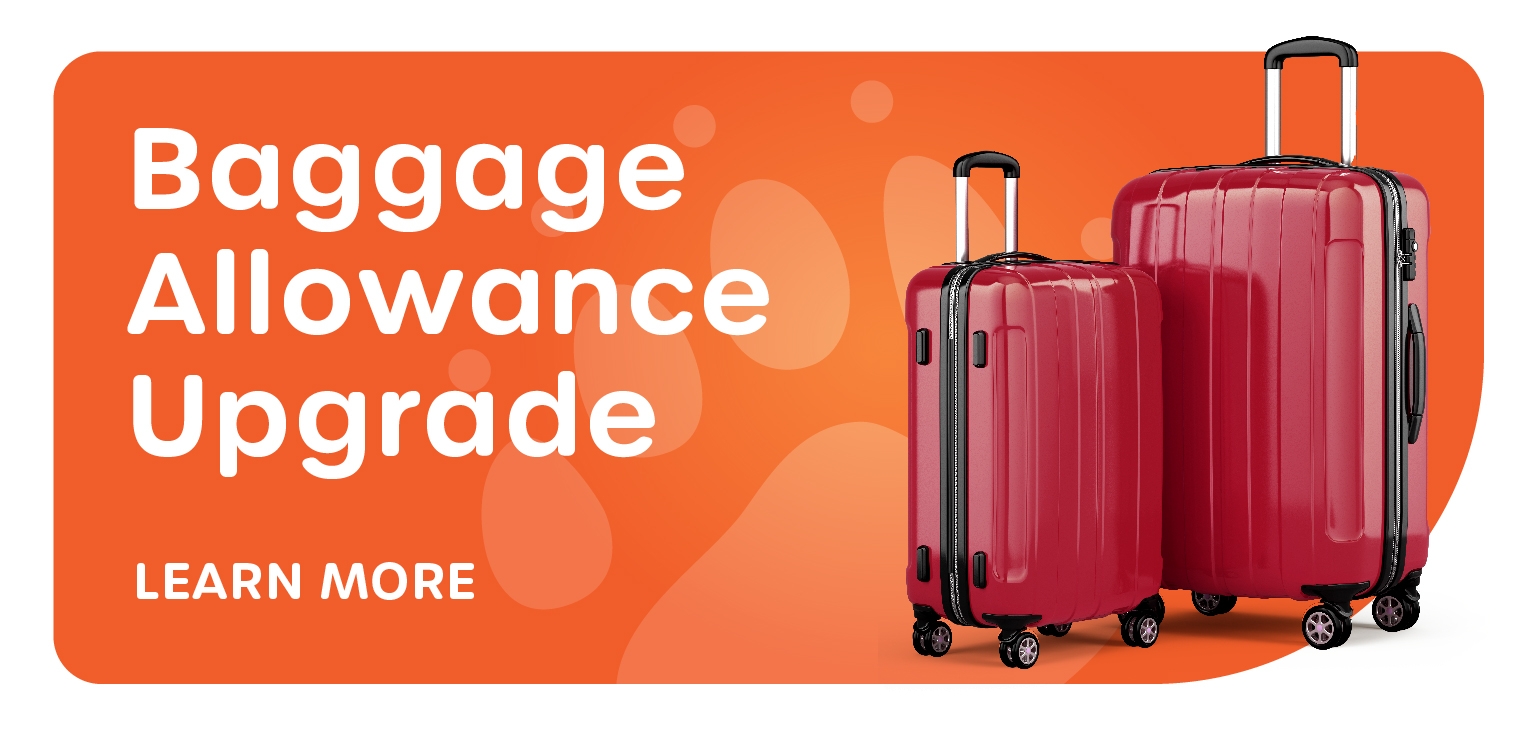Baggage Allowance 